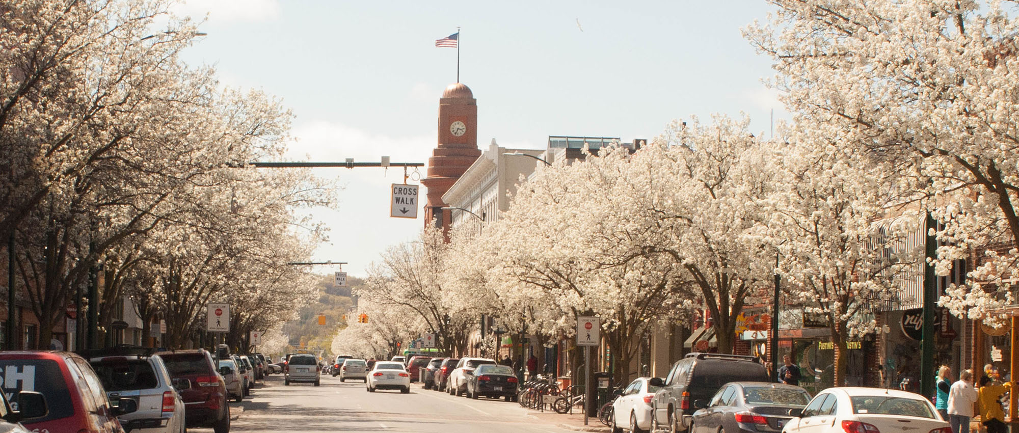 Traverse City in the Spring